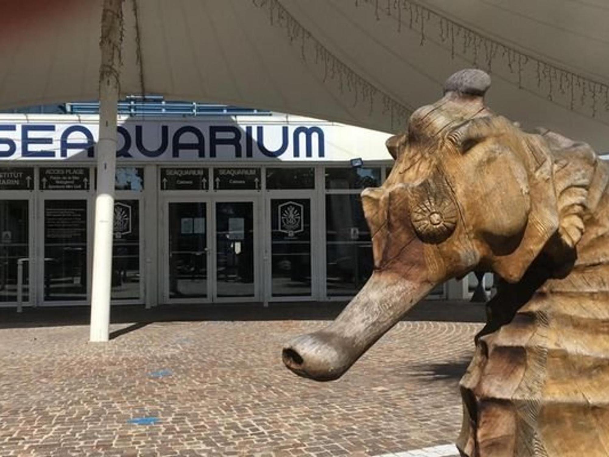 Avec Terrasse, A 550m De La Et 100m Des Commerces, Ideal 4 Pers., Animaux Acceptes - Fr-1-307-156